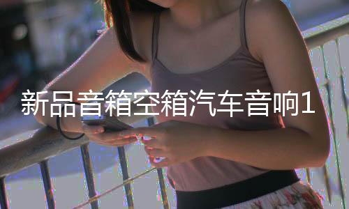 新品音箱空箱汽车音响10寸12寸15寸无源低音炮箱体优质高档皮木箱