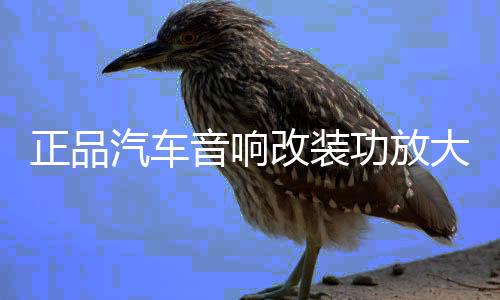 正品汽车音响改装功放大功率4路车载功放 HIFI音质四声道618功放