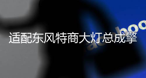 适配东风特商大灯总成擎宇御虎炎龙东风专用底盘砂石王大灯保险杠