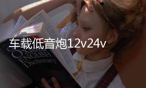 车载低音炮12v24v重低音汽车专用大功率家用音箱手机无线蓝牙音响