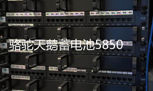 骆驼天鹅蓄电池58500五菱荣光之光面包车北汽汽车电瓶12V48AH电池