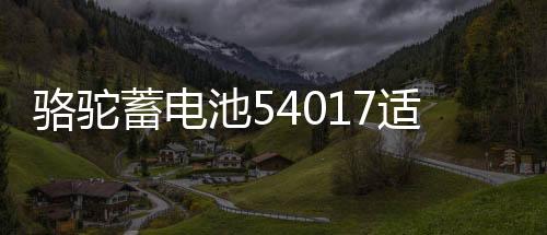 骆驼蓄电池54017适用比亚迪F0汽车电瓶40AH  以旧换新