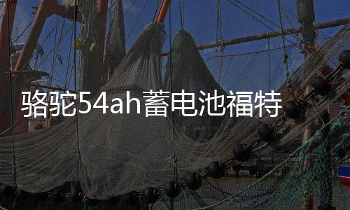 骆驼54ah蓄电池福特经典全顺福克斯福睿斯吉利新帝豪博越原装电瓶
