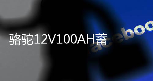 骆驼12V100AH蓄电池货车三轮拖拉机柴油车发电机低温强劲汽车电瓶
