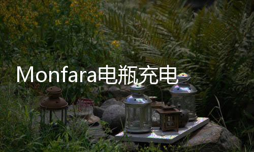 Monfara电瓶充电器12V24V专用汽车船用货车大功率充满自停纯铜