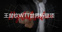 王楚钦WTT世界杯登顶实现三连冠