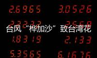 台风“桦加沙”致台湾花莲死亡人数修正为14人