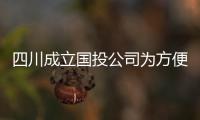 四川成立国投公司为方便企业“抱团出海”搭建平台
