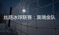 丝路冰球联赛：奥瑞金队1：3输俄罗斯秋明红宝石队