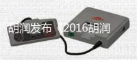 胡润发布《2016胡润套现富豪榜》 马化腾79亿成为套现之王